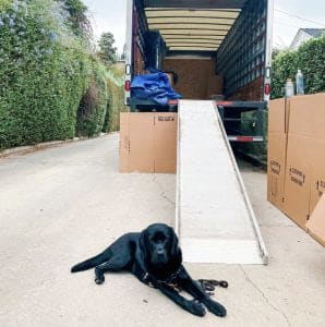 A black dog lies on the ground in front of a moving truck with an extended ramp. Several brown packing boxes are visible around the truck.